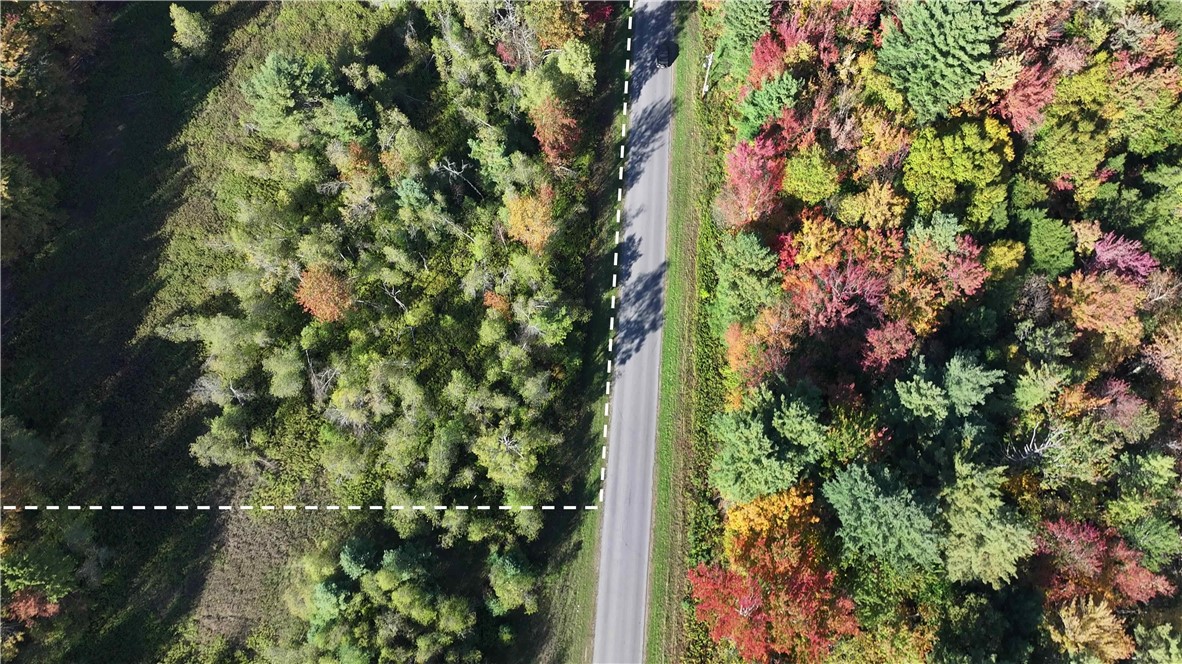 249 White Road Parish, NY 13131 - Photo 7 of 18