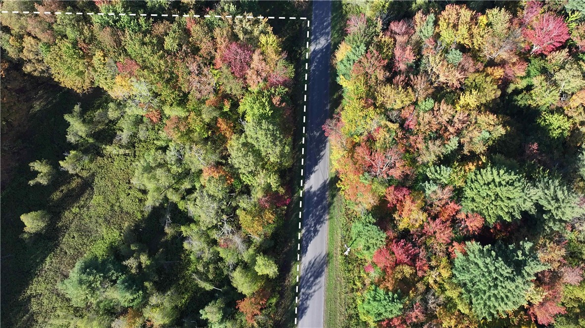 249 White Road Parish, NY 13131 - Photo 8 of 18