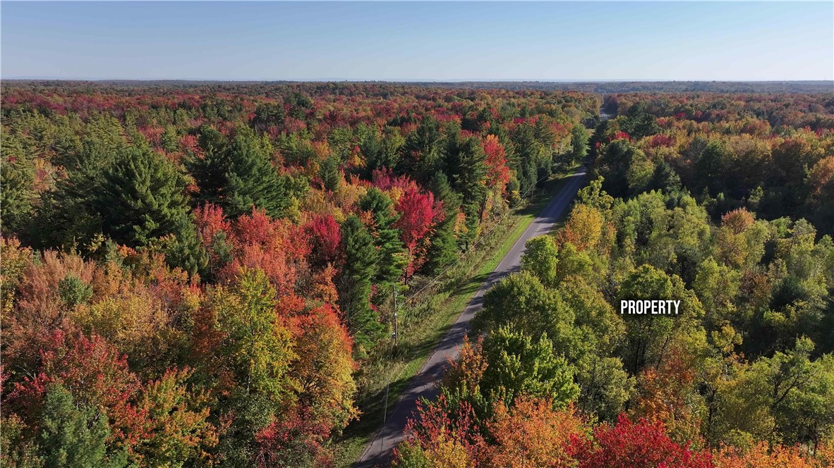 249 White Road Parish, NY 13131 - Photo 10 of 18