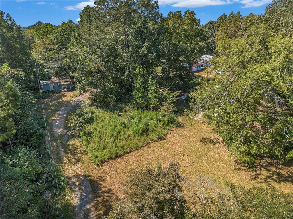 655 Hall Station Road Northwest Kingston, GA 30145 - Photo 3 of 17 a view of a yard with plants and a trees