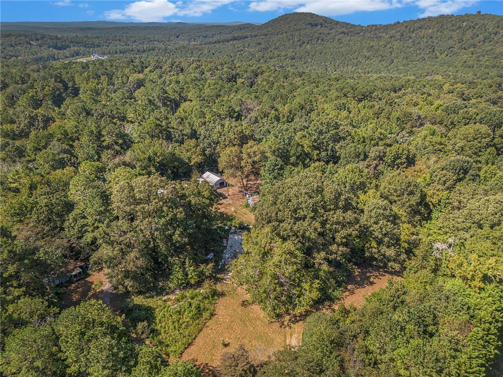 655 Hall Station Road Northwest Kingston, GA 30145 - Photo 5 of 17 a view of a field with an ocean view