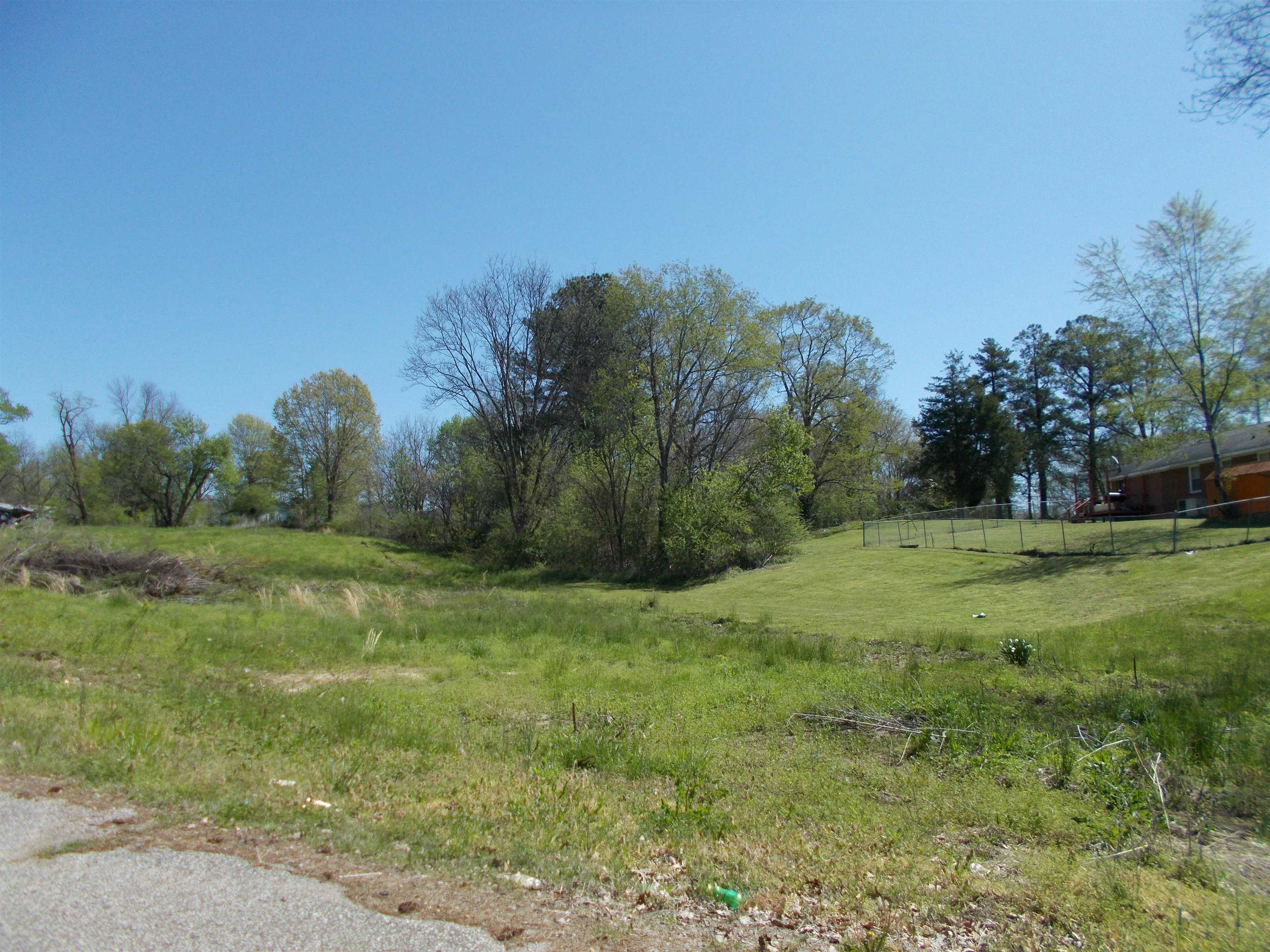 287 Joann Street Ripley, TN 38063 - Photo 2 of 7 a view of a field with trees in background