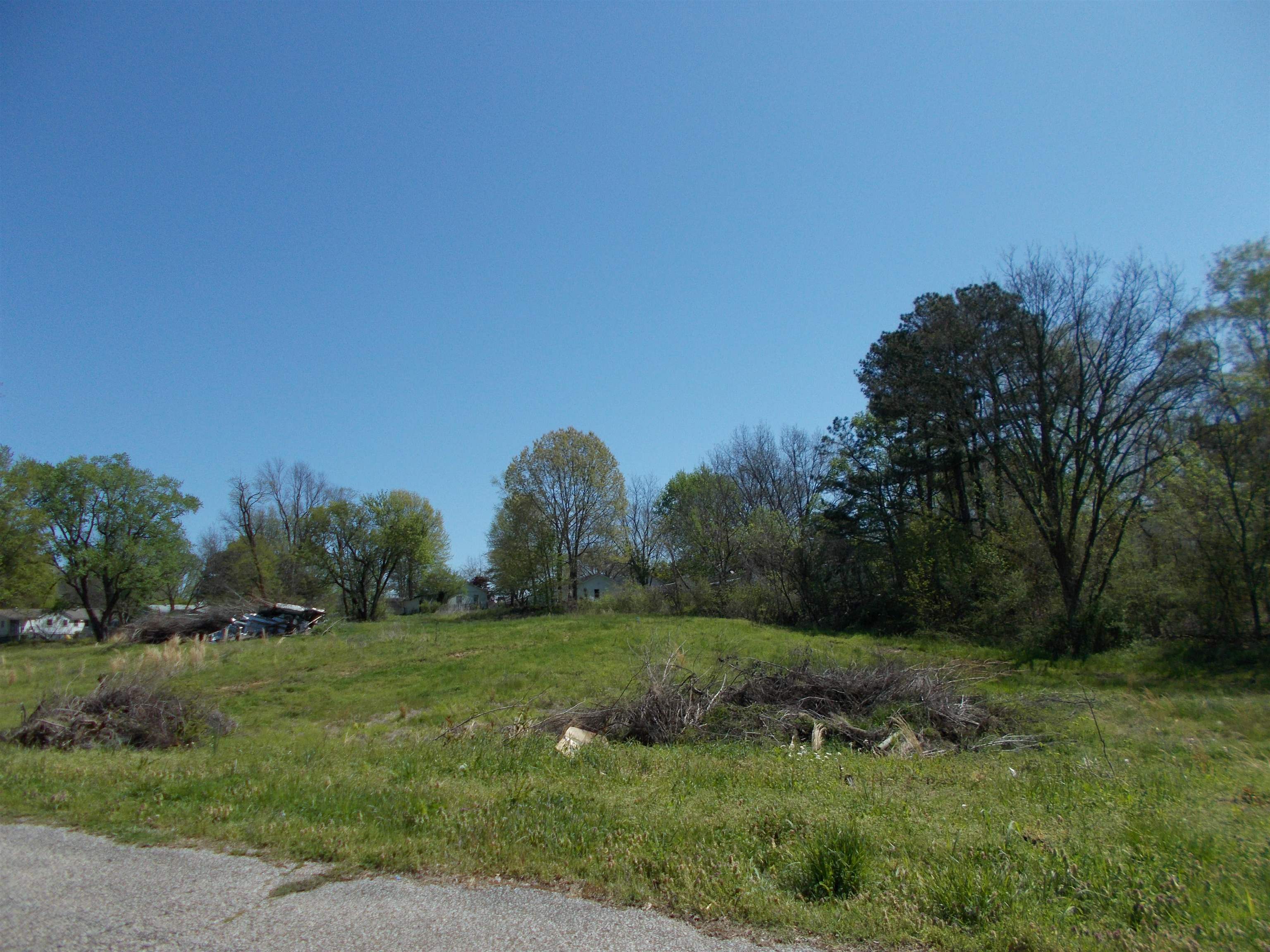 287 Joann Street Ripley, TN 38063 - Photo 3 of 7 a view of a grassy field