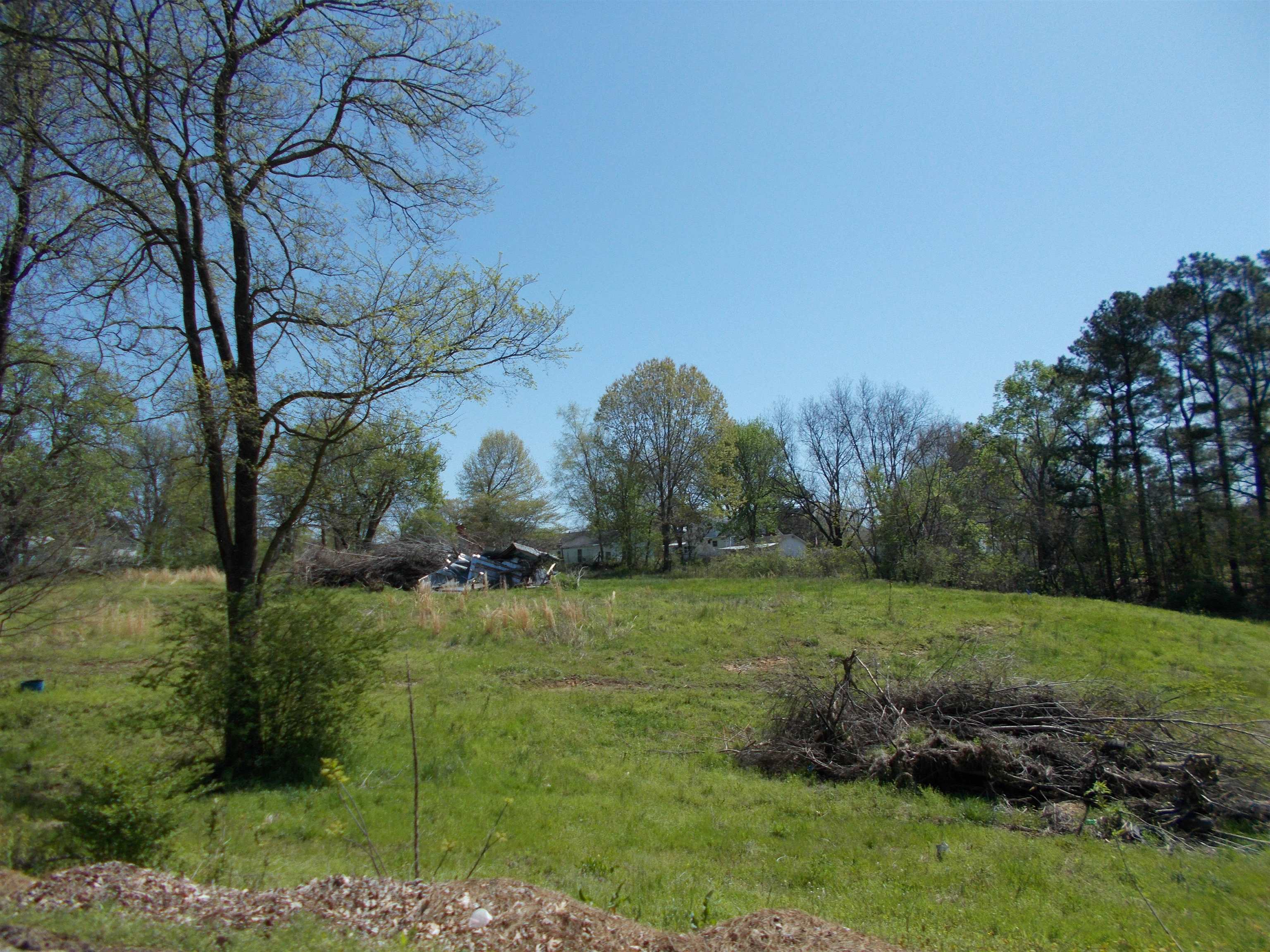 287 Joann Street Ripley, TN 38063 - Photo 4 of 7 a view of a garden