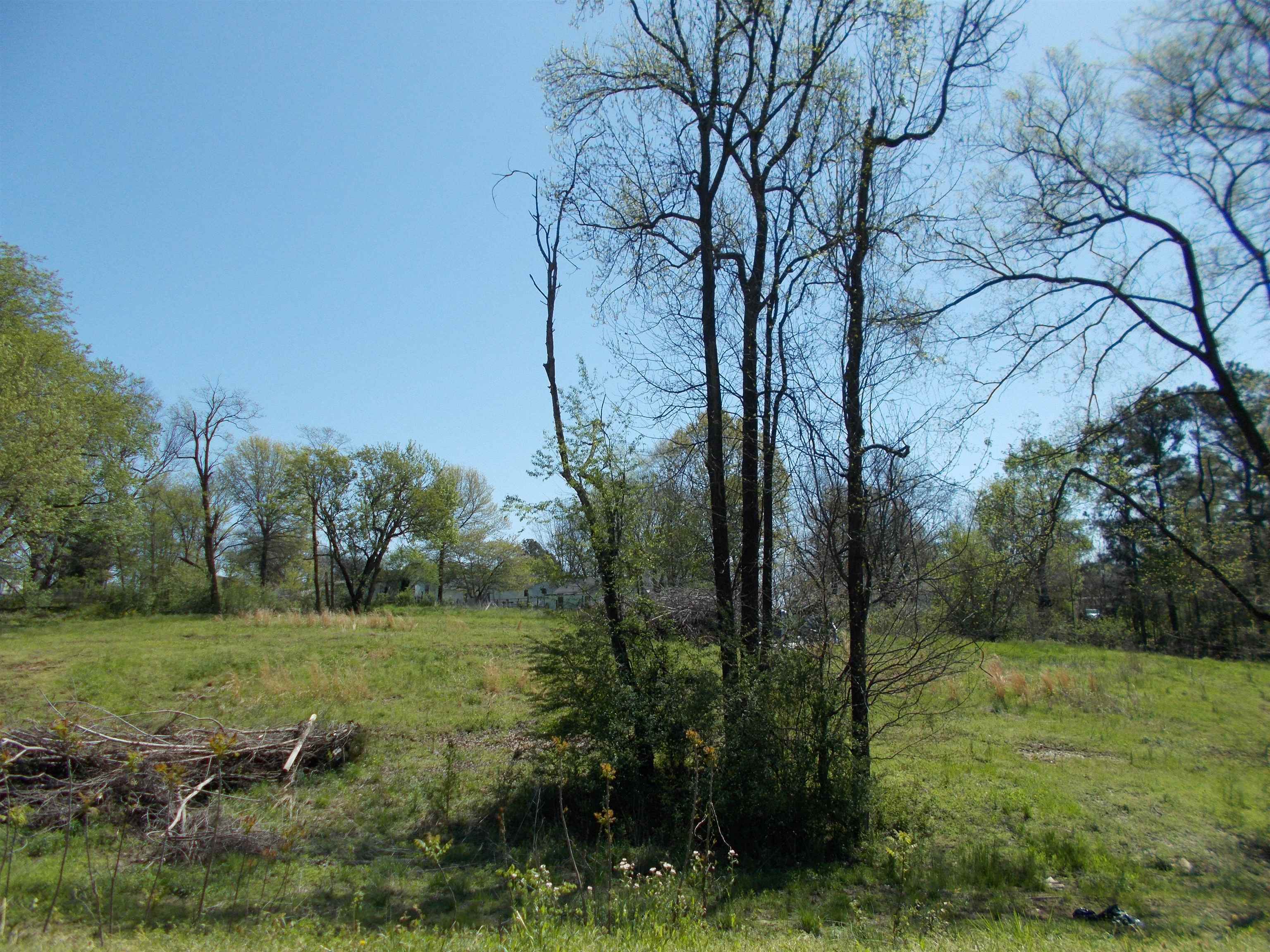 287 Joann Street Ripley, TN 38063 - Photo 5 of 7 a view of a trees with a yard