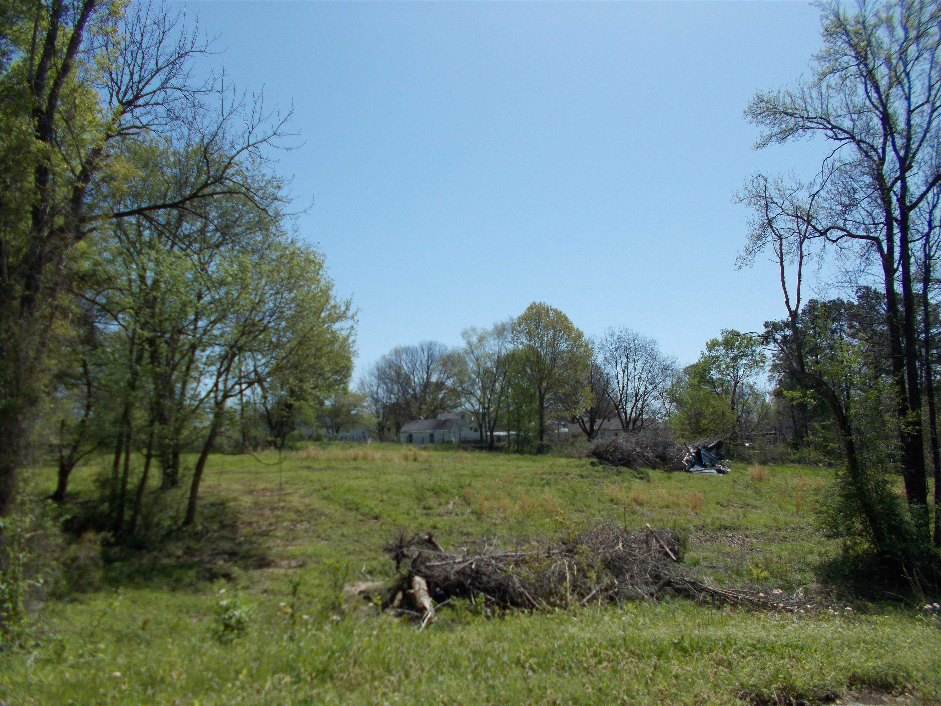 287 Joann Street Ripley, TN 38063 - Photo 6 of 7 a view of a grassy field with trees in the background