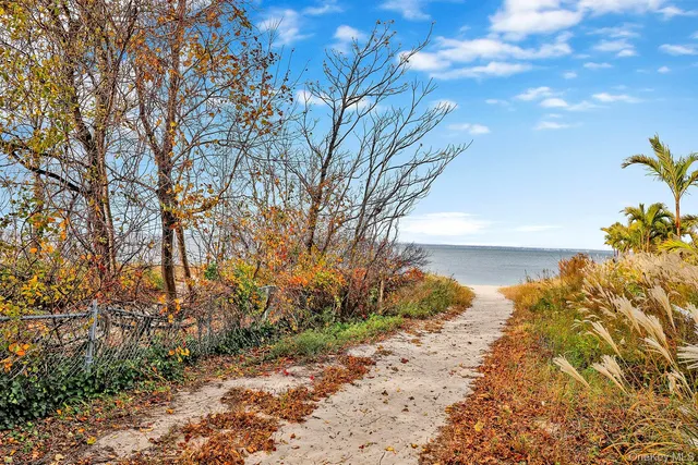 a view of a yard with plants and trees
