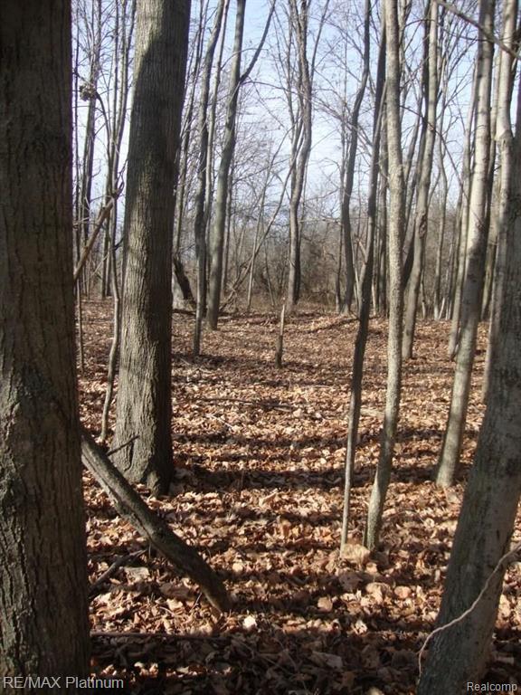 Vac West Iosco Road Fowlerville, MI 48836 - Photo 13 of 13