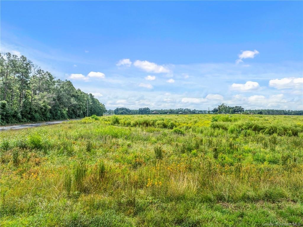 Tbd Rea Road Deridder, LA 70634 - Photo 2 of 8