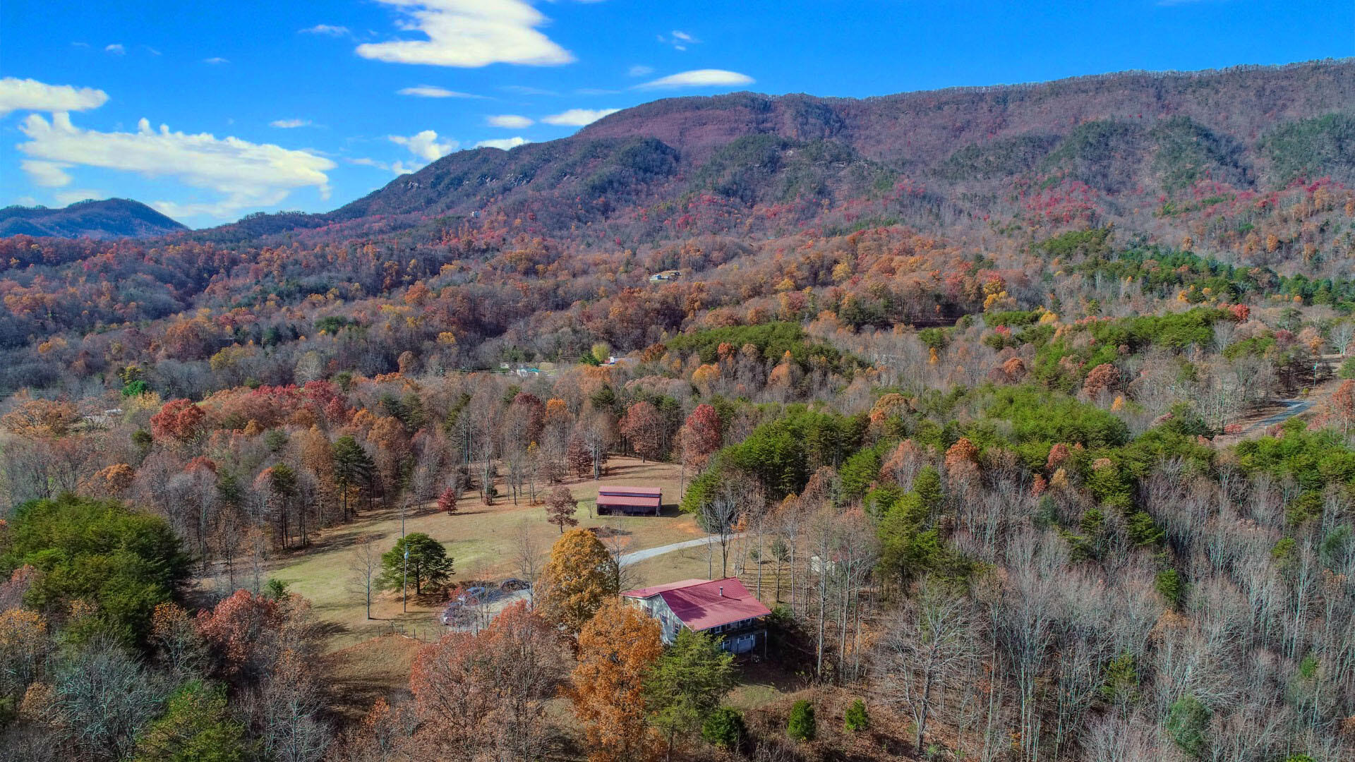 880 Home Pines Way Cosby, TN 37722 - Photo 9 of 40 8.5ps