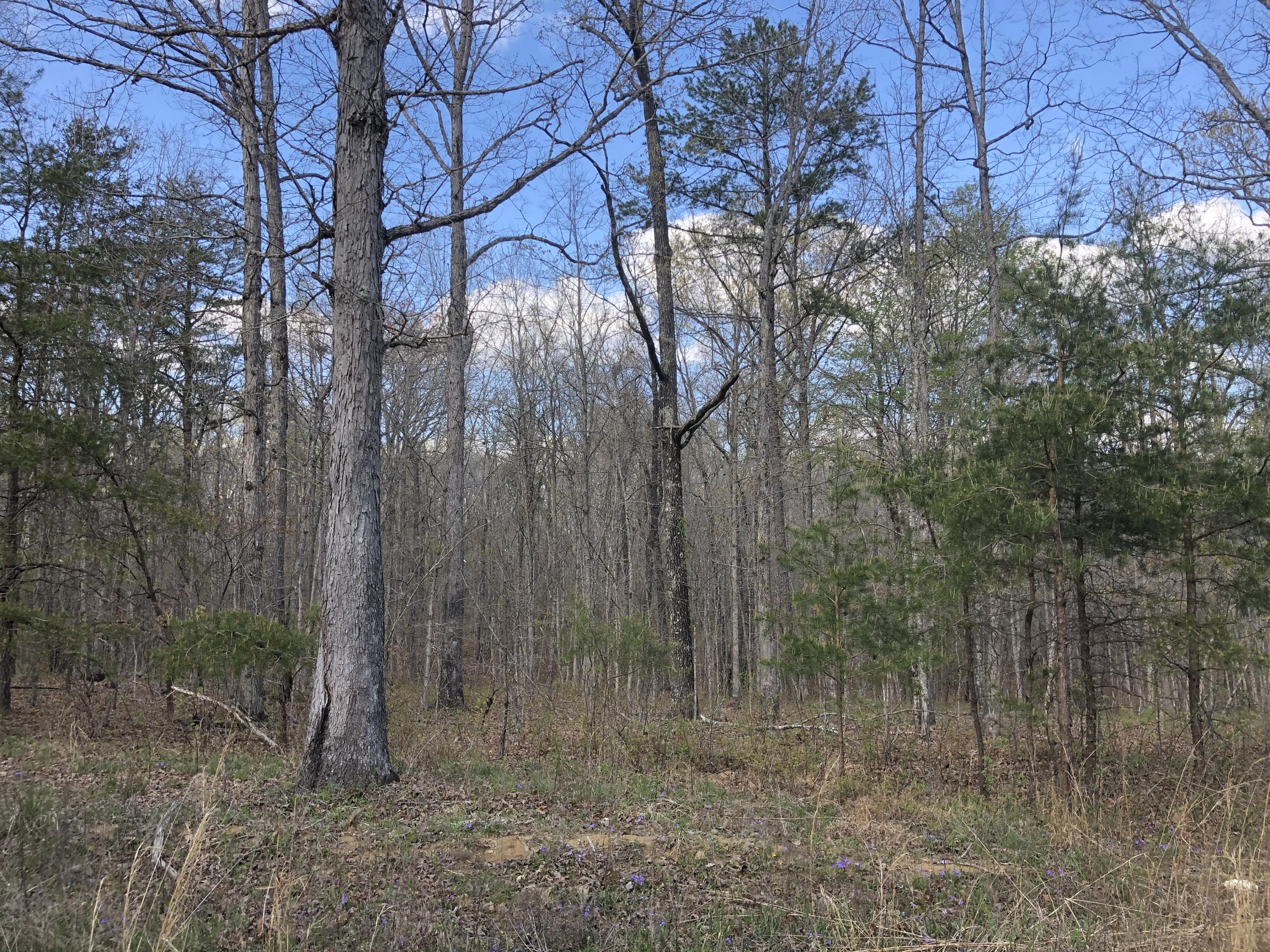 0 White Oak Swamp Road Dunlap, TN 37327 - Photo 2 of 7 Lot