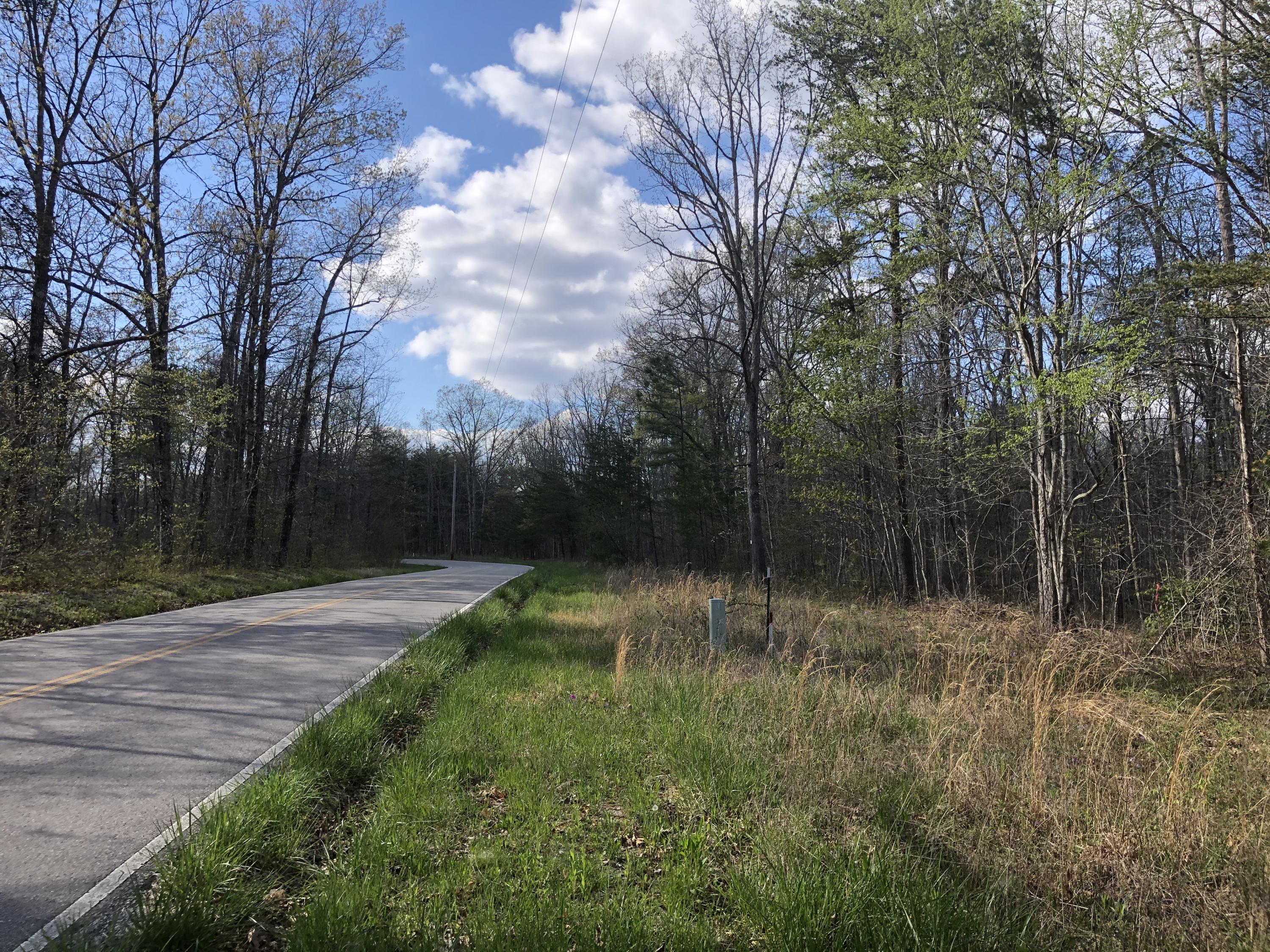 0 White Oak Swamp Road Dunlap, TN 37327 - Photo 3 of 7 Road frontage