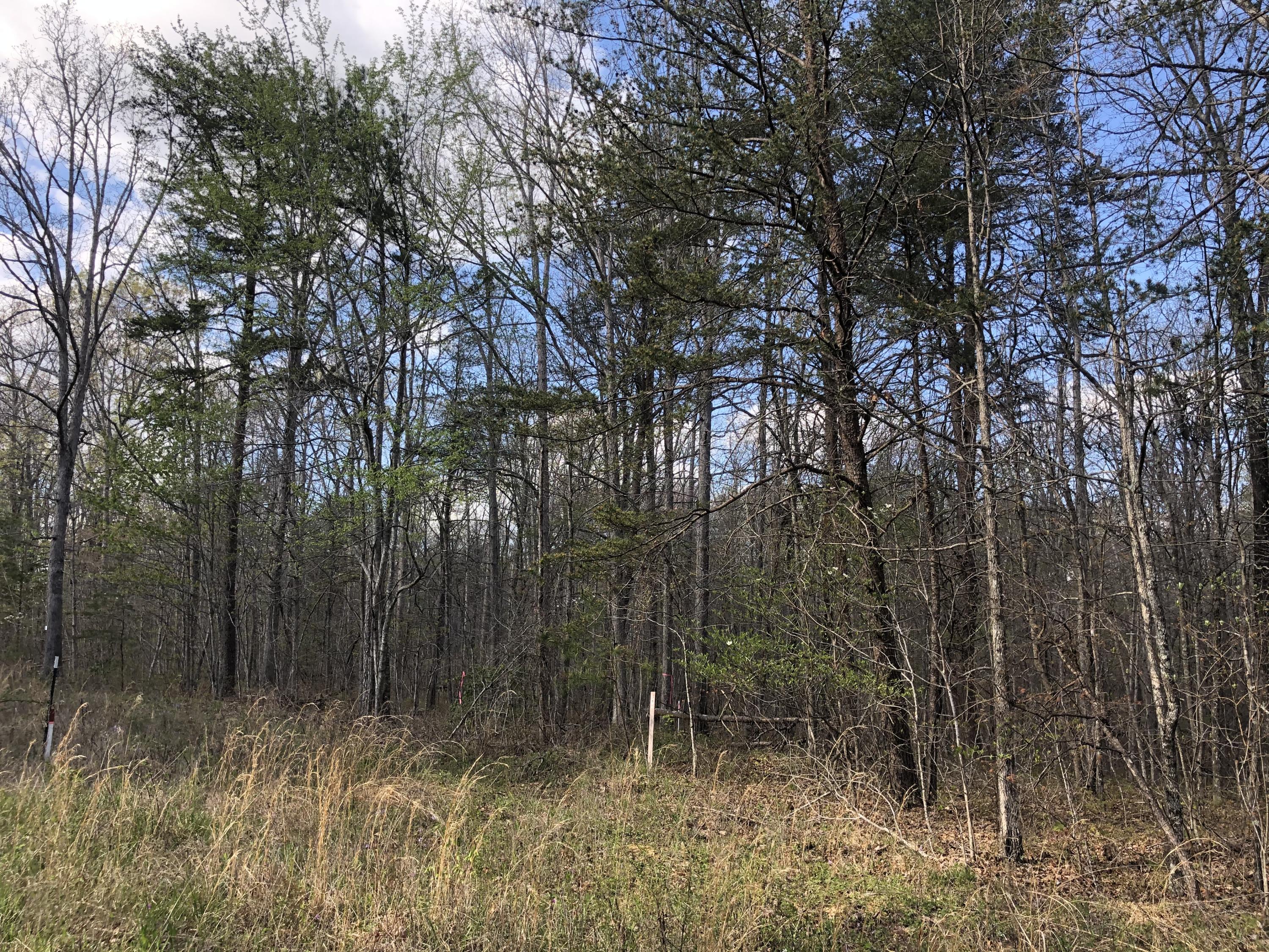 0 White Oak Swamp Road Dunlap, TN 37327 - Photo 4 of 7 Lot
