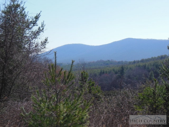 0 Wolf Branch Road Sparta, NC 28675 - Photo 1 of 8 Gallery Image 1