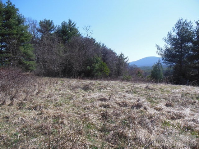 0 Wolf Branch Road Sparta, NC 28675 - Photo 3 of 8 Gallery Image 3