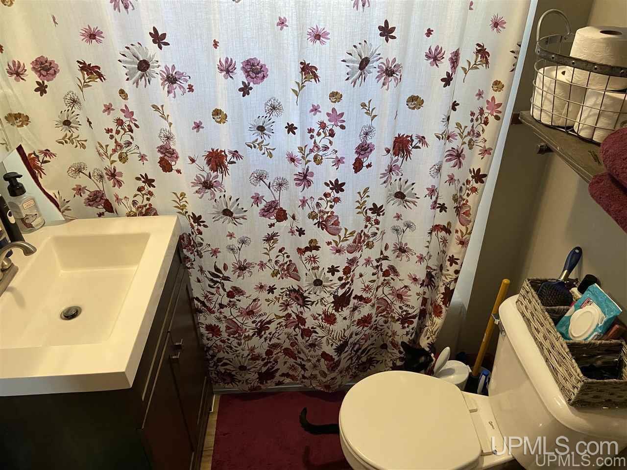 301 Elm Street Ishpeming, MI 49849 - Photo 15 of 32