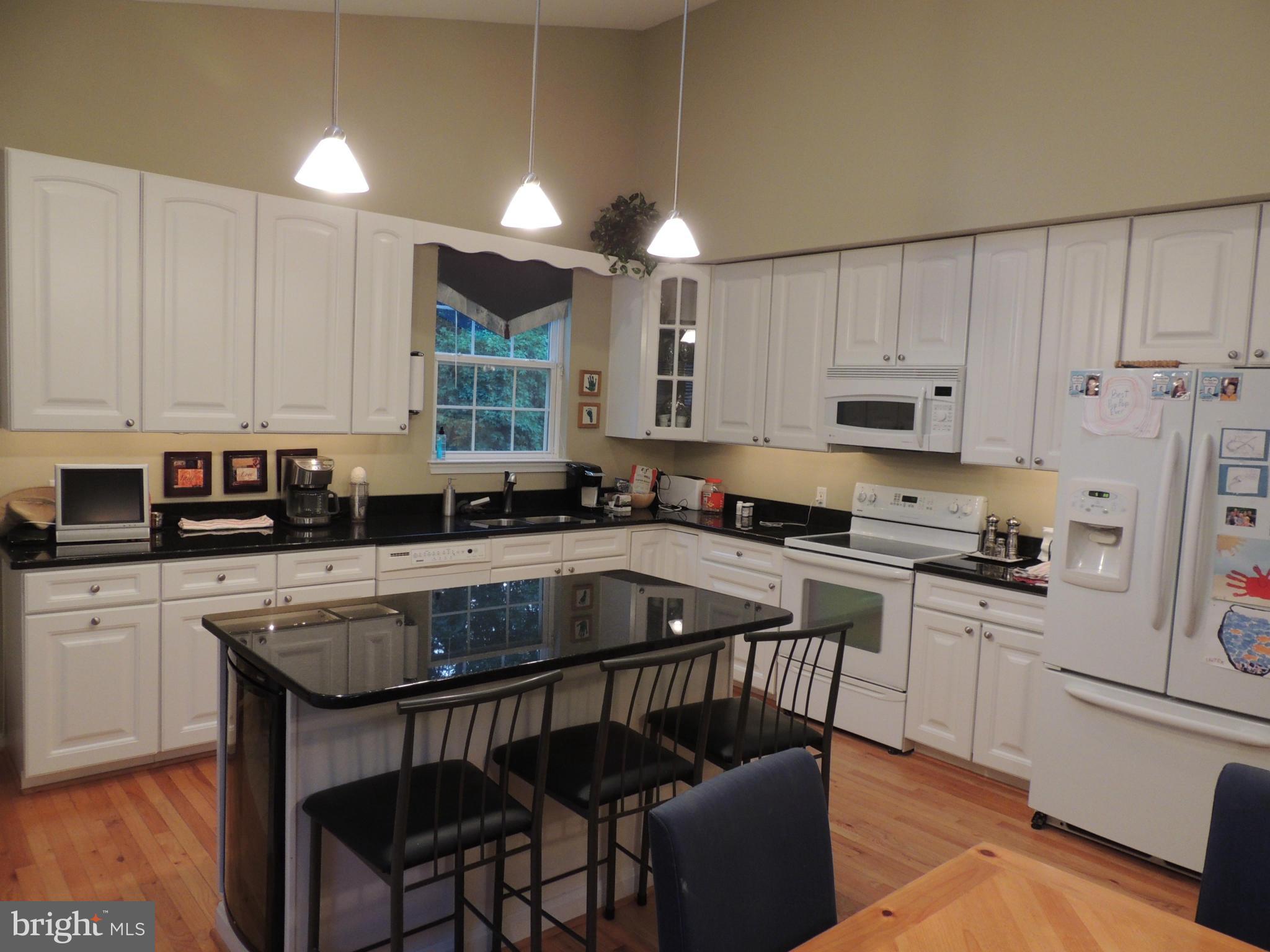 3602 Branhum Road Edgewater, MD 21037 - Photo 10 of 19 Gourmet Kitchen and breakfast bar