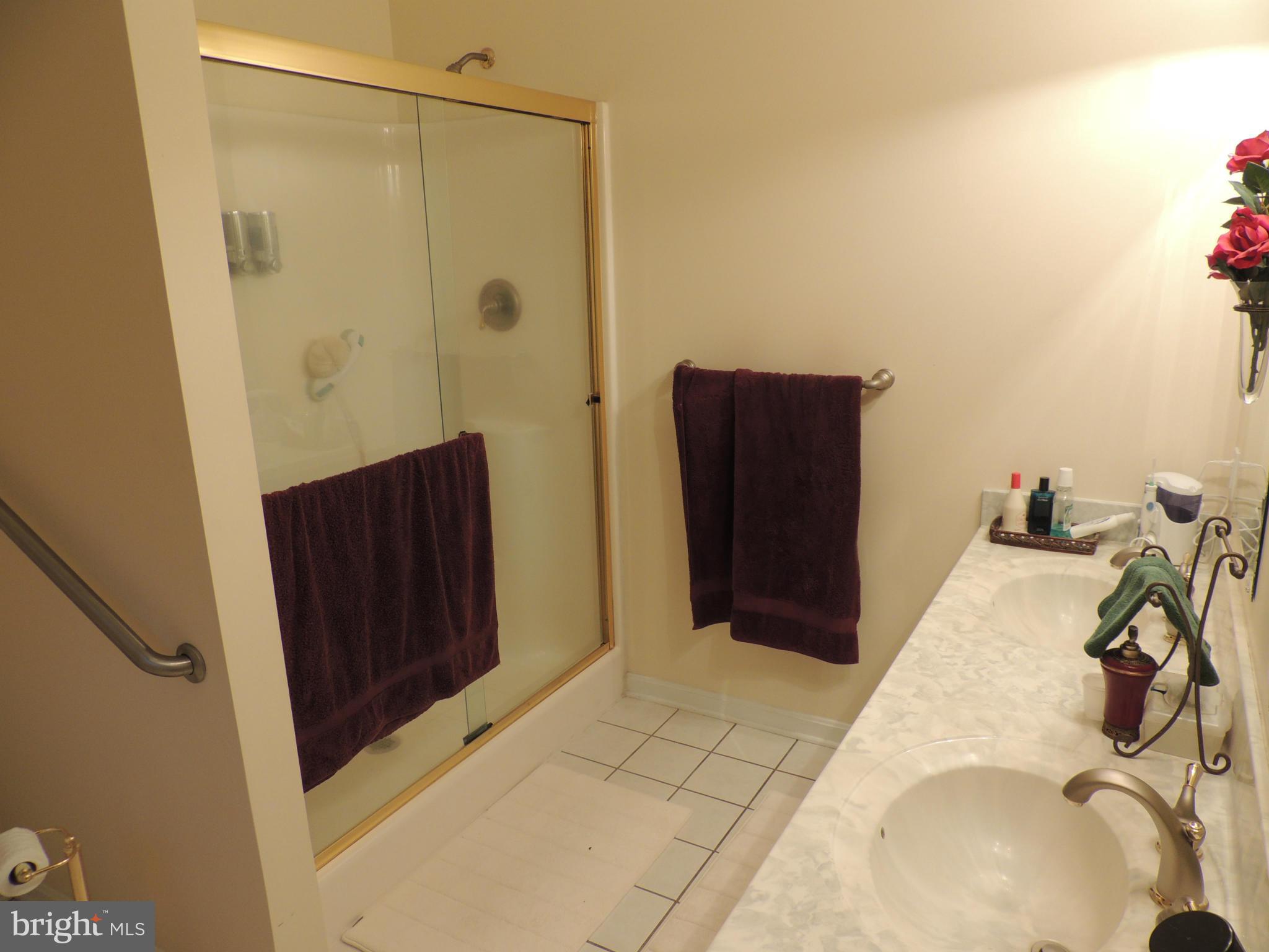 3602 Branhum Road Edgewater, MD 21037 - Photo 15 of 19 Bath (Master)
