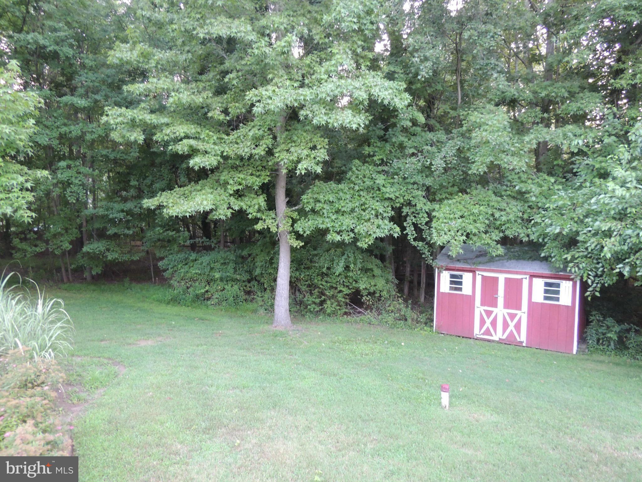 3602 Branhum Road Edgewater, MD 21037 - Photo 7 of 19 Back yard