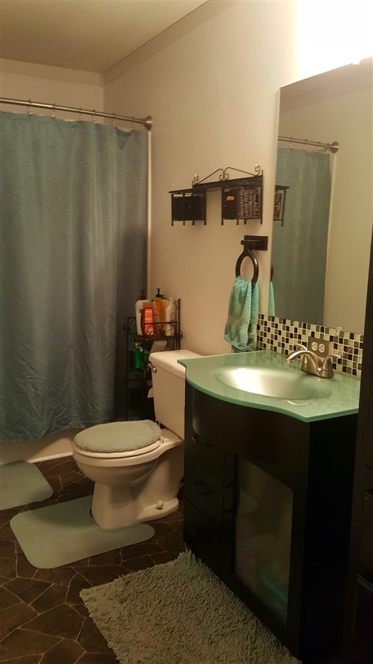 9931 South Littlefield Road Blanchard, MI 49310 - Photo 32 of 37 1822346-31.JPG