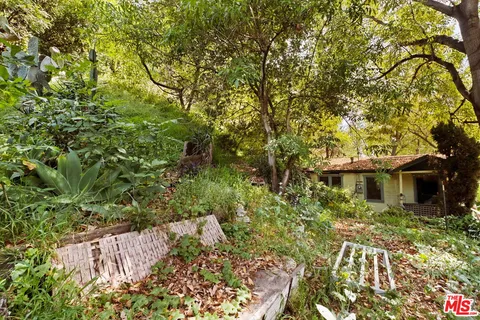 a view of a garden with plants