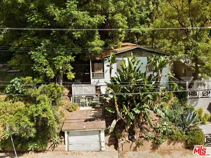 a view of a tree in a yard