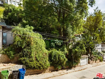 a view of a bunch of trees and bushes