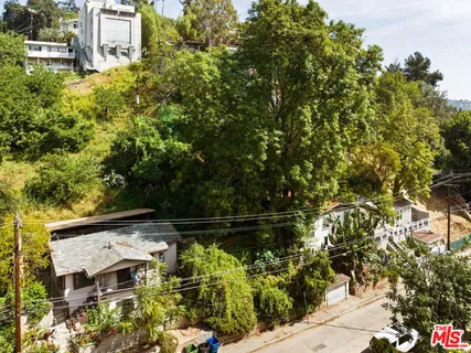 a view of a tree in a garden