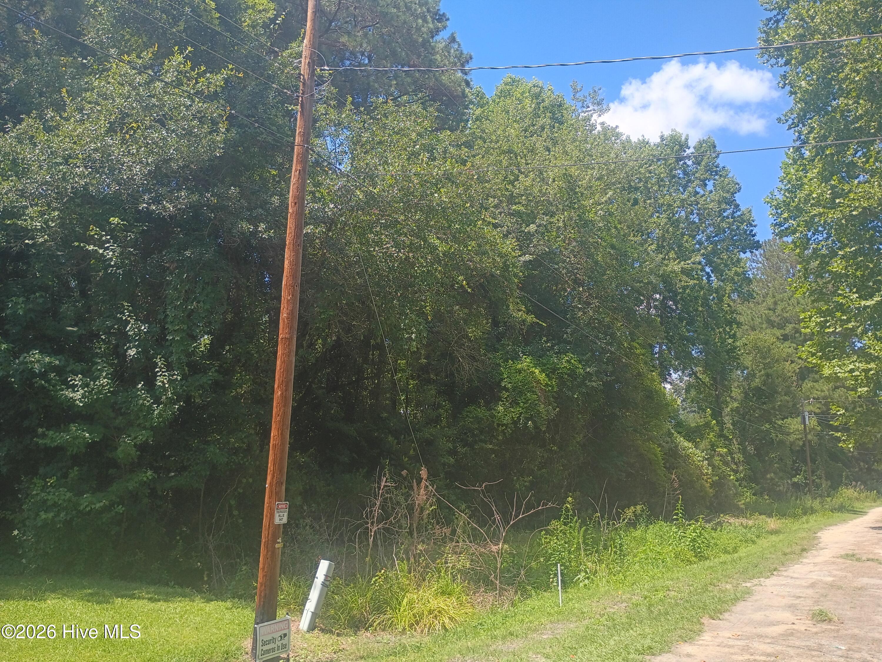 79 Howie And Hammonds Road Clarkton, NC 28433 - Photo 19 of 65