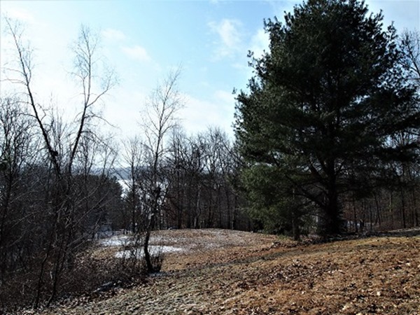 762 Flat Hill Road Lunenburg, MA 01462 - Photo 18 of 18 Gallery Image 18