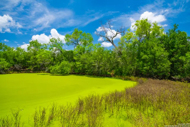 a view of a lake with a big yard