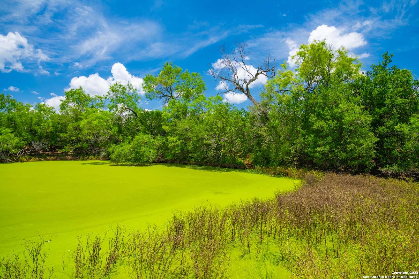 4614 County Road 5232 D'Hanis, TX 78850 - Photo 11 of 40 a view of a lake with a big yard