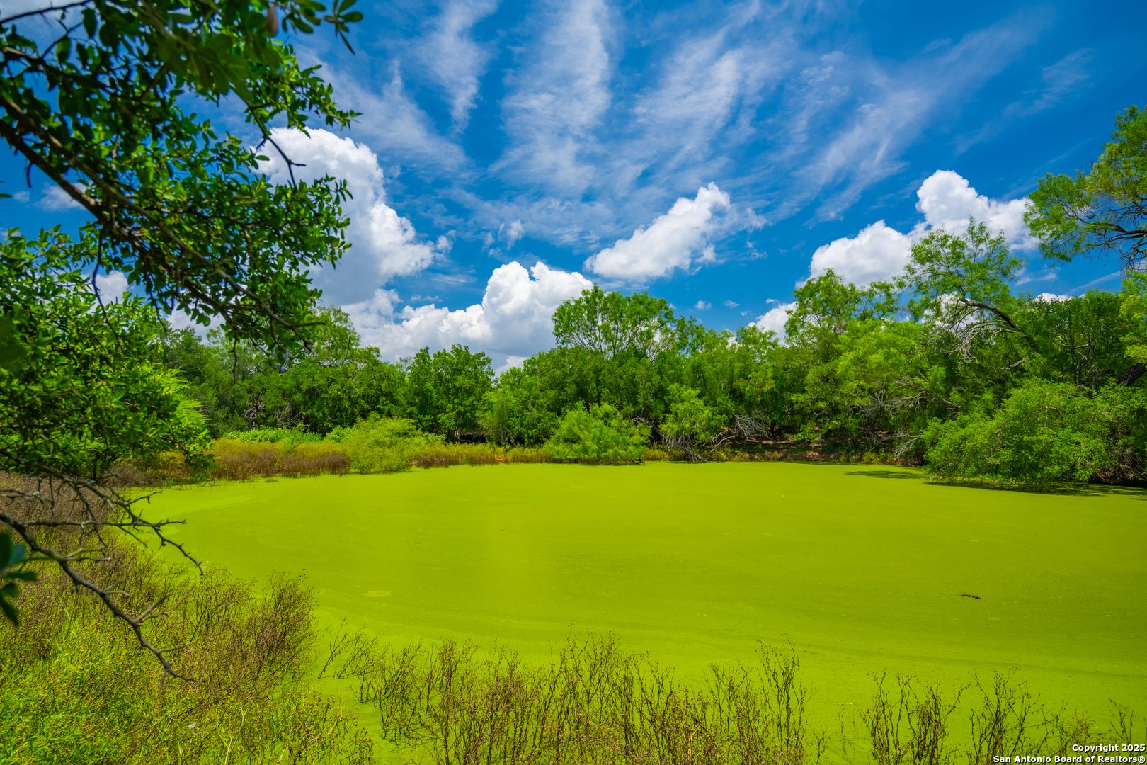 4614 County Road 5232 D'Hanis, TX 78850 - Photo 13 of 40 a view of an ocean and a yard