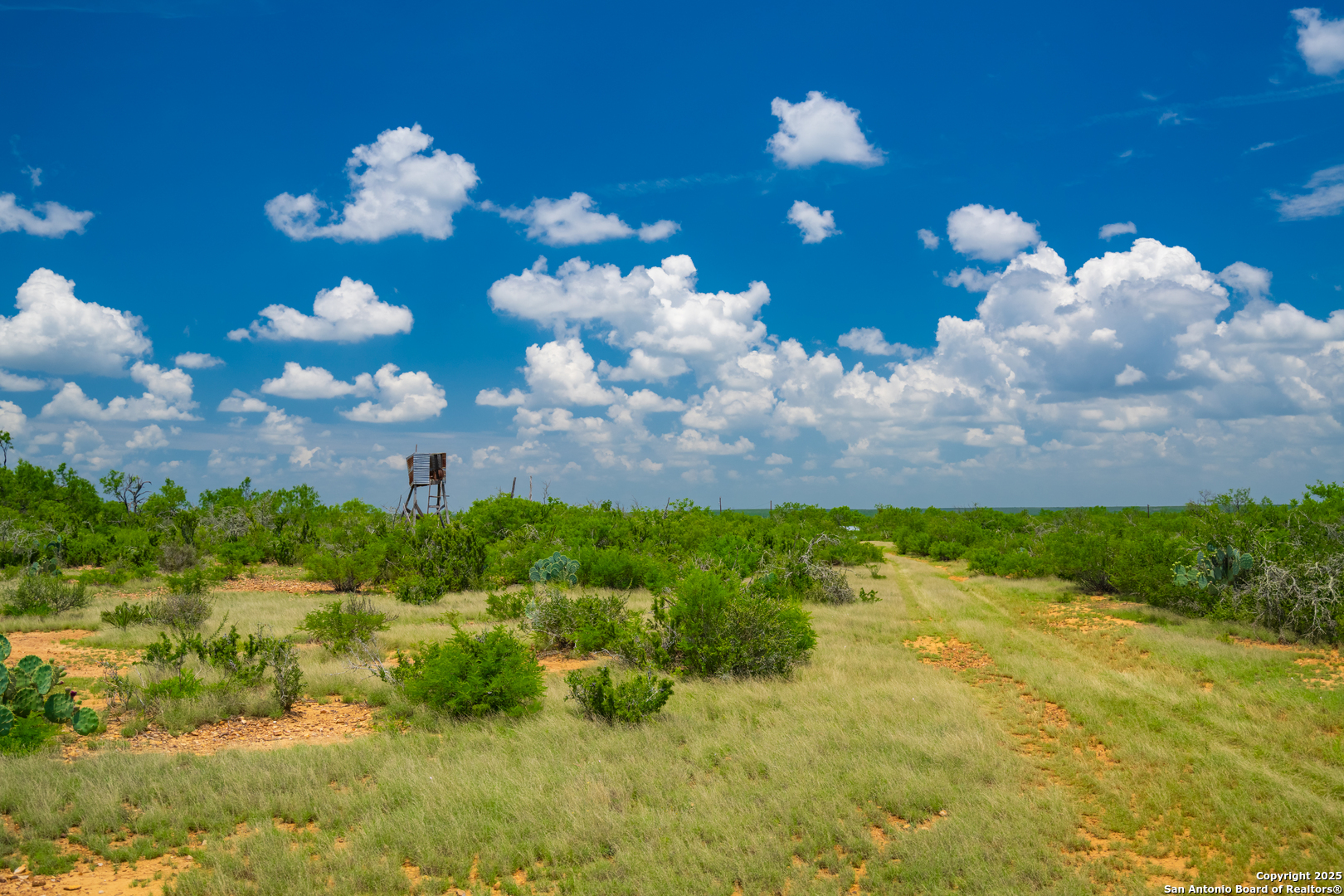 4614 County Road 5232 D'Hanis, TX 78850 - Photo 17 of 40 a view of a bunch of flowers in middle of the garden