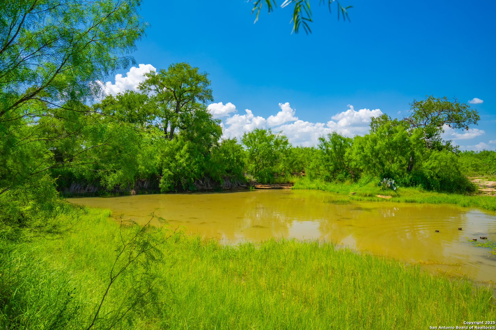4614 County Road 5232 D'Hanis, TX 78850 - Photo 20 of 40 a view of an ocean and beach