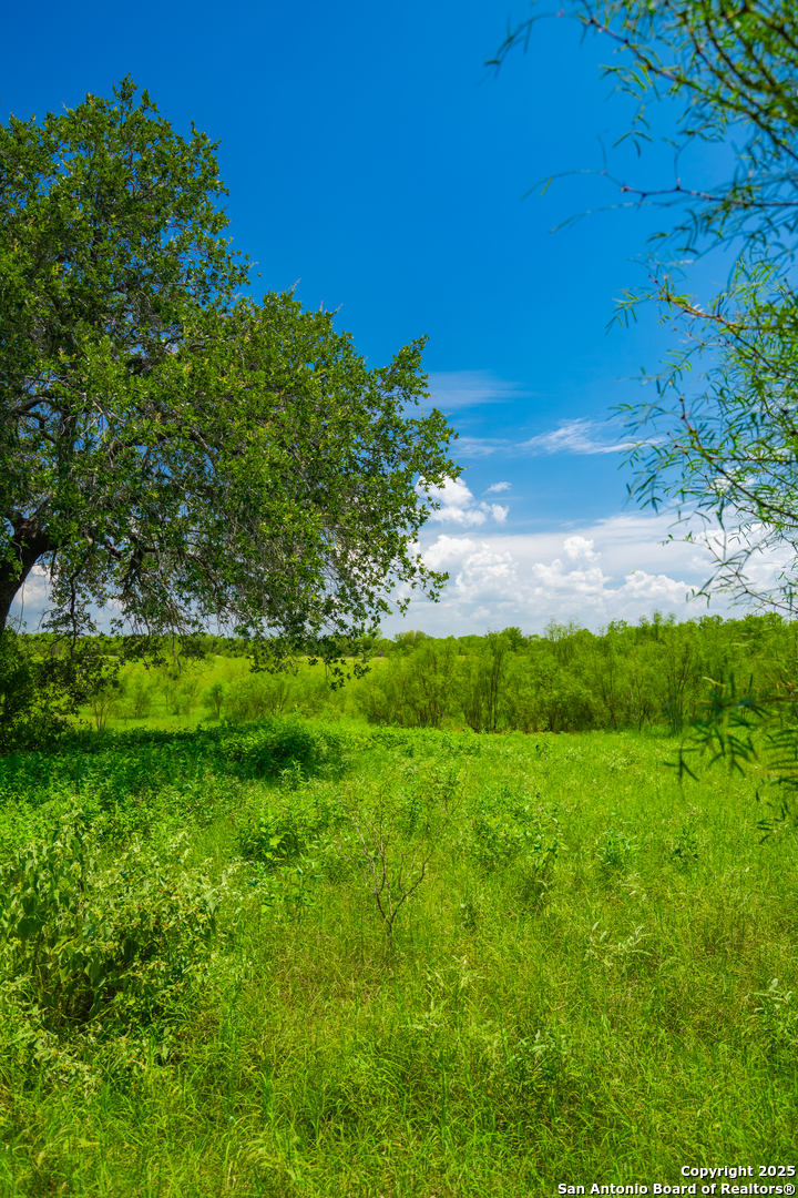 4614 County Road 5232 D'Hanis, TX 78850 - Photo 21 of 40 a view of yard with green space