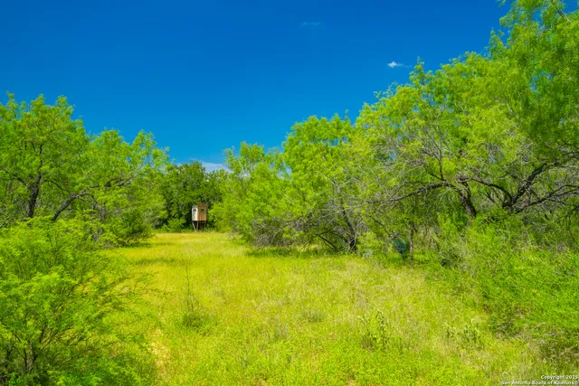 a view of yard with swimming pool