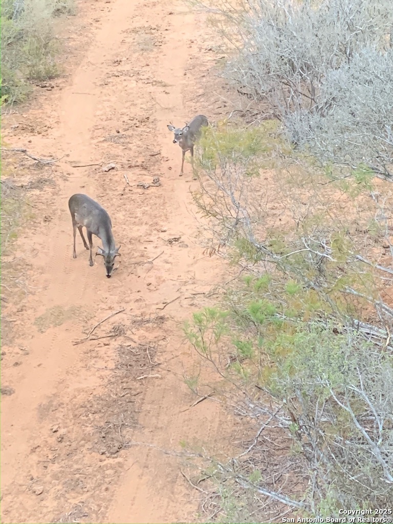 4614 County Road 5232 D'Hanis, TX 78850 - Photo 25 of 40 a bathroom with a shower