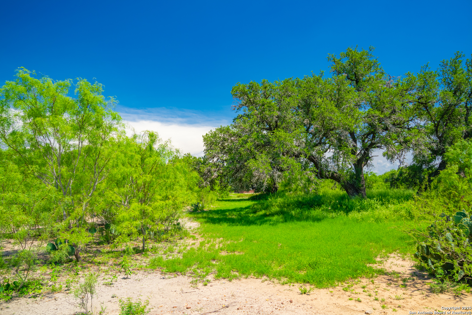 4614 County Road 5232 D'Hanis, TX 78850 - Photo 33 of 40 a view of a garden