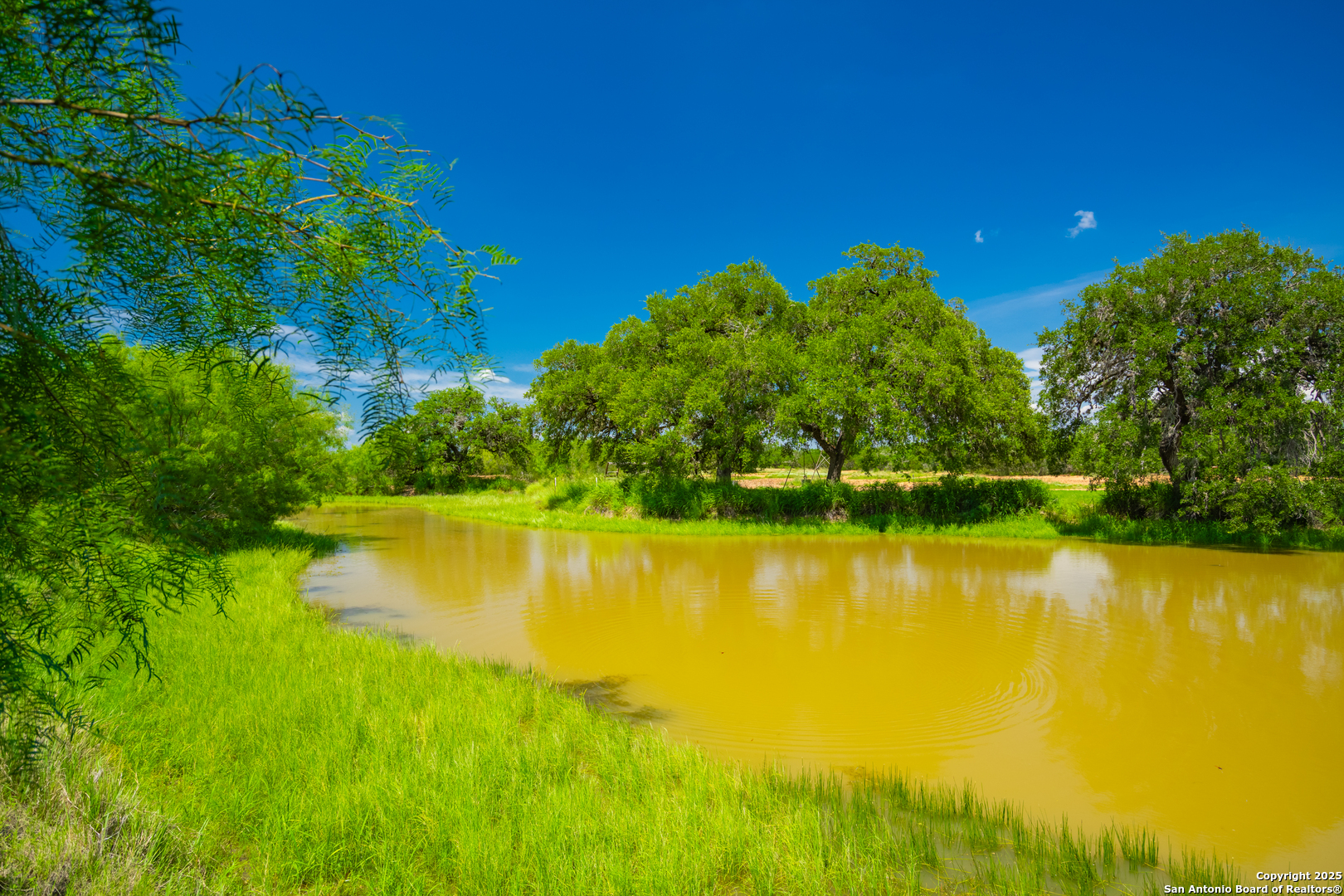 4614 County Road 5232 D'Hanis, TX 78850 - Photo 6 of 40 a view of an ocean from a building