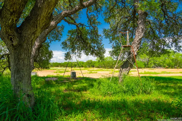 a view of yard with green space