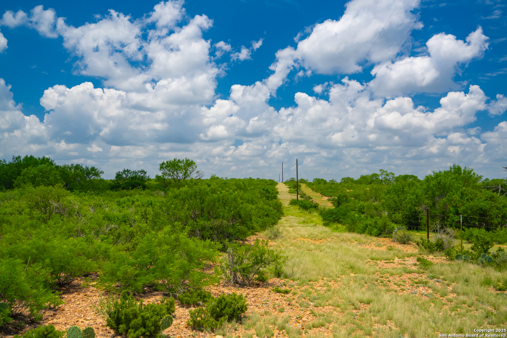 4614 County Road 5232 D'Hanis, TX 78850 - Photo 10 of 40 a view of a bunch of flowers