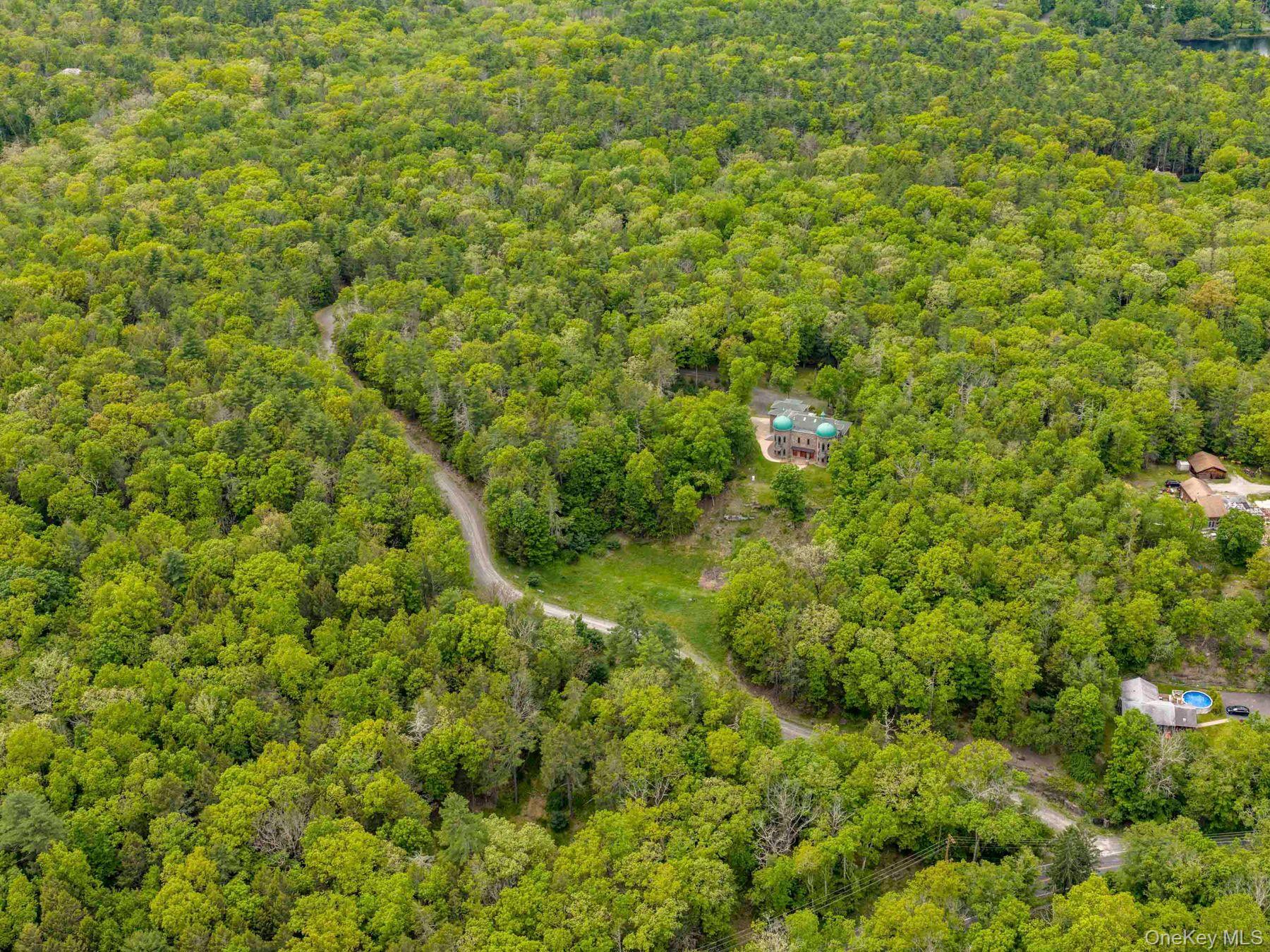 40 Mamoud Hills Road Kingston, NY 12401 - Photo 7 of 42 a view of a big yard with plants and large trees