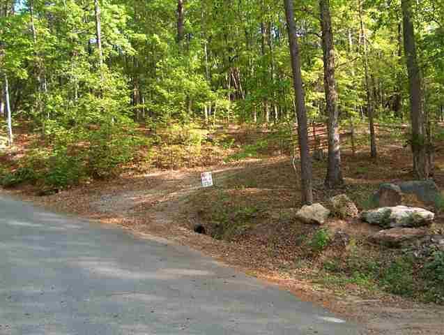 335 Big Rock Lake Road Pickens, SC 29671 - Photo 1 of 9