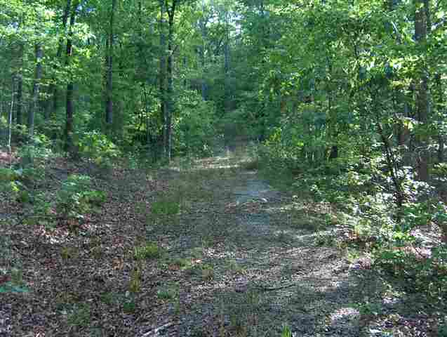 335 Big Rock Lake Road Pickens, SC 29671 - Photo 3 of 9