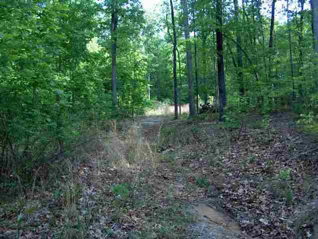 335 Big Rock Lake Road Pickens, SC 29671 - Photo 4 of 9