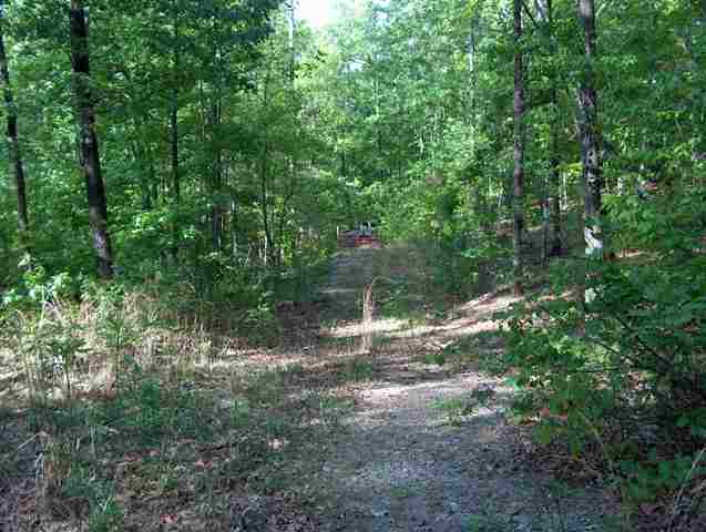 335 Big Rock Lake Road Pickens, SC 29671 - Photo 5 of 9