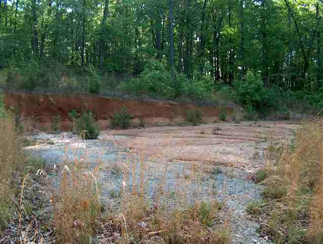 335 Big Rock Lake Road Pickens, SC 29671 - Photo 6 of 9