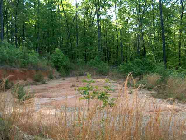 335 Big Rock Lake Road Pickens, SC 29671 - Photo 7 of 9
