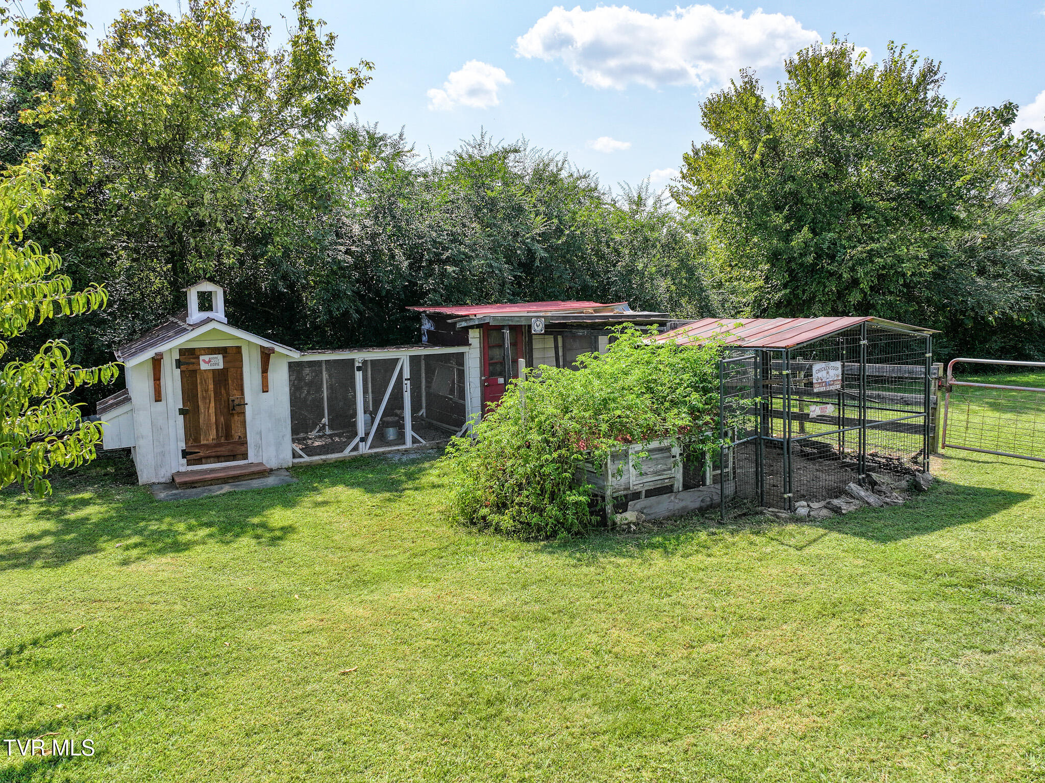 1375 Union Road Greeneville, TN 37745 - Photo 49 of 85 49